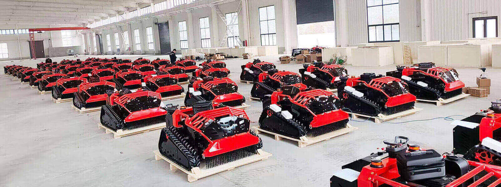 Tagliaerba per Pendenze Radiocomandato